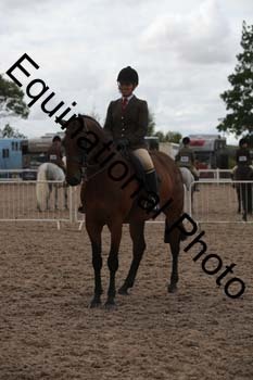 DPS-2445