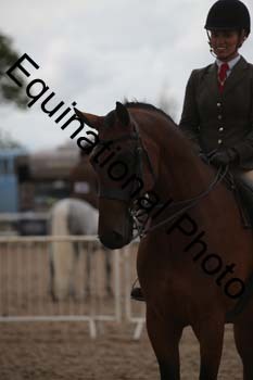 DPS-2449
