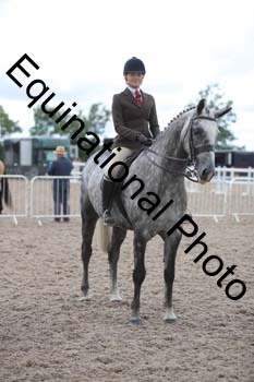 DPS-2453