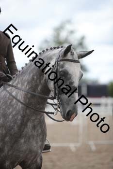 DPS-2454