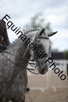 DPS-2455