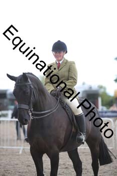 DPS-2460