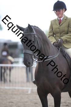 DPS-2463