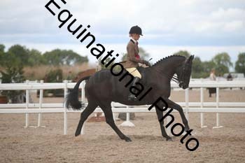 DPS-2478