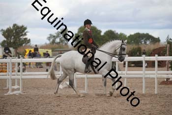 DPS-2483