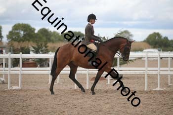 DPS-2485