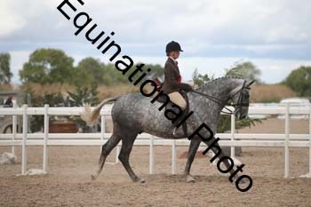 DPS-2489