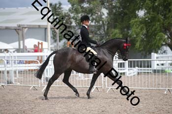 DPS-2493