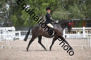 DPS-2494