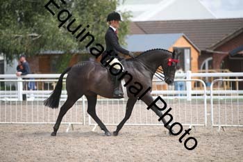 DPS-2495
