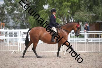 DPS-2497
