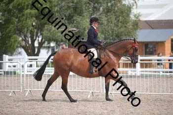 DPS-2498