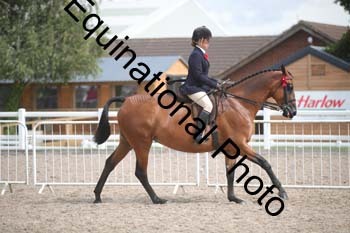 DPS-2499