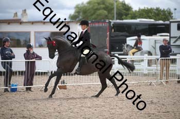 DPS-2527