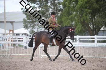 DPS-2582