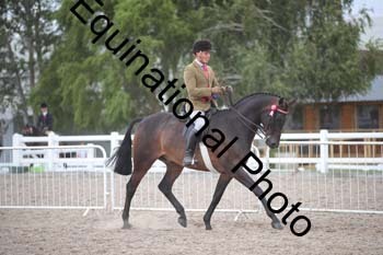 DPS-2583