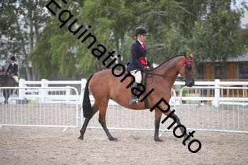 DPS-2584