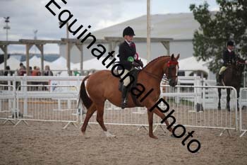 DPS-2586
