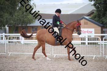 DPS-2587
