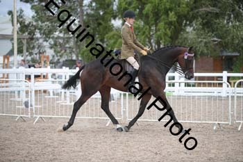 DPS-2589