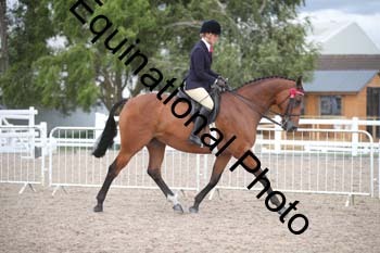 DPS-2593