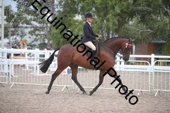 DPS-2595