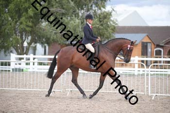 DPS-2596