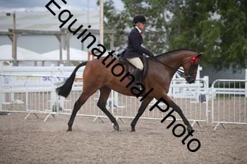 DPS-2599