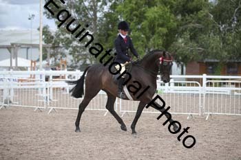 DPS-2601