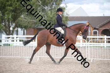 DPS-2604