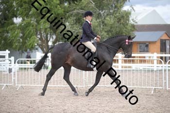 DPS-2607