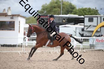 DPS-2631
