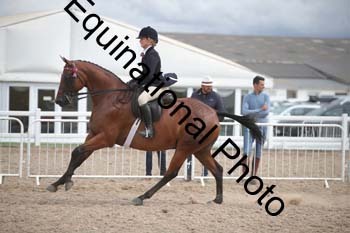 DPS-2633