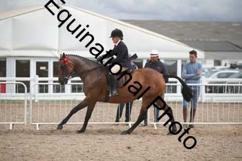 DPS-2636