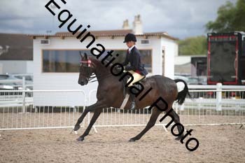 DPS-2638