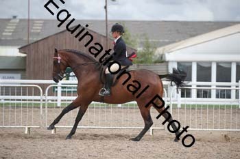 DPS-2645