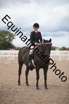 DPS-2662