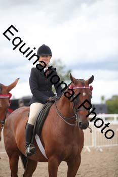 DPS-2668