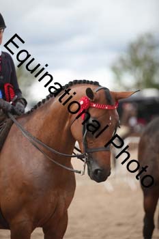 DPS-2683