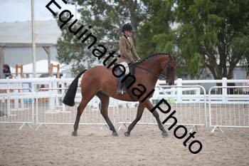 DPS-2695