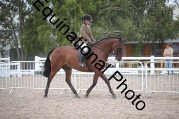 DPS-2696