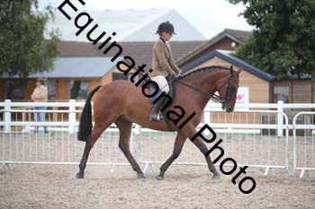 DPS-2697