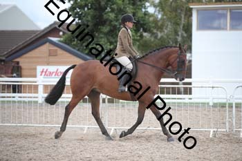 DPS-2698