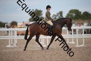 DPS-2699