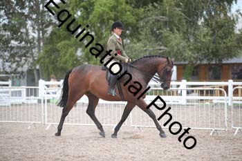 DPS-2743
