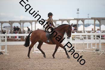DPS-2745
