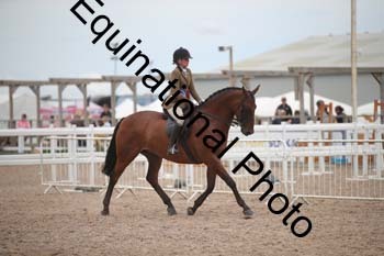 DPS-2746