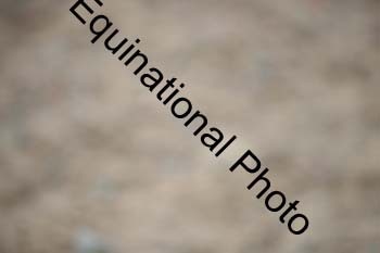 DPS-2748