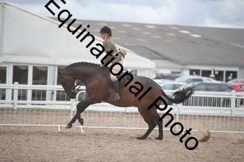 DPS-2750