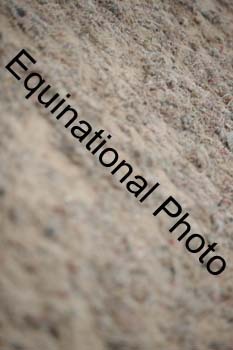 DPS-2764